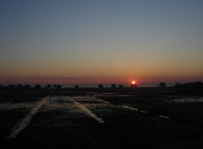 sunrise February 16th 2012.JPG and 